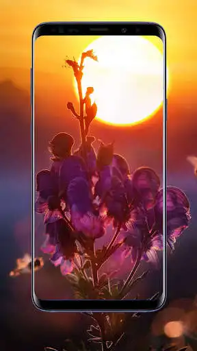 Play Sunrise Wallpapers and Backgrounds as an online game online Sunrise Wallpapers and Backgrounds with UptoPlay com.suviapps.sunrise.awesome.beautiful.background.wallpapers.pictures.image Play Sunrise Wallpapers and Backgrounds as an online game Sunrise Wallpapers and Backgrounds with UptoPlay