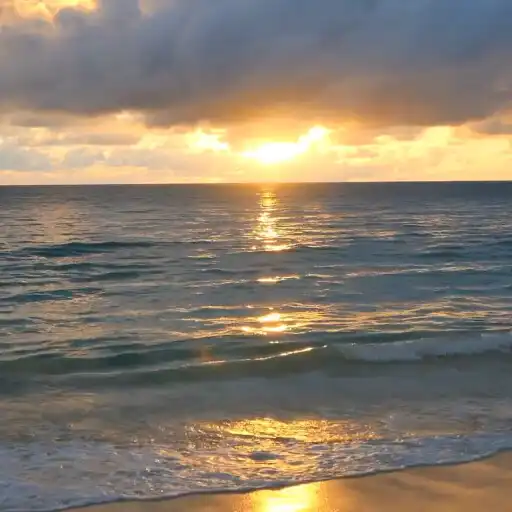 Play Sunset Beach Wallpaper Pro APK Play Sunset Beach Wallpaper Pro APK