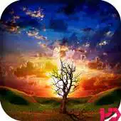Free play online Sunset HD Wallpaper APK Free play online Sunset HD Wallpaper APK
