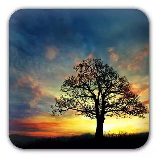 Play Sunset Hill Free LiveWallpaper APK Play Sunset Hill Free LiveWallpaper APK