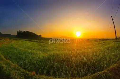 Play Sunset in the fields  and enjoy Sunset in the fields with UptoPlay