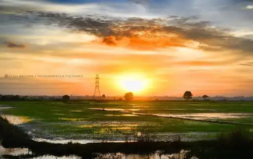 Play Sunset in the fields as an online game Sunset in the fields with UptoPlay