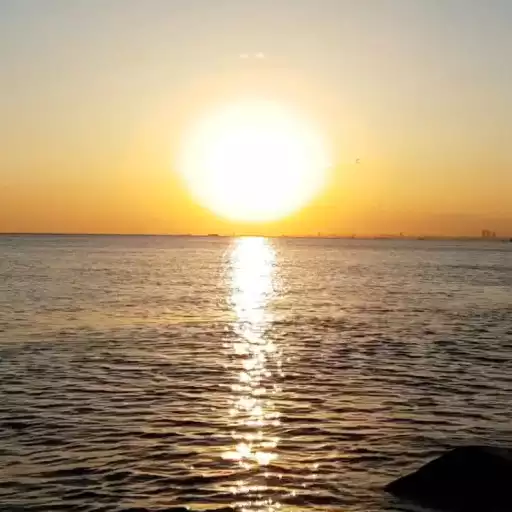 Free play online Sunset Live Wallpaper APK Free play online Sunset Live Wallpaper APK