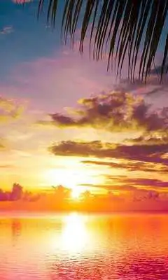 Play Sunset Ocean Play Sunset Ocean