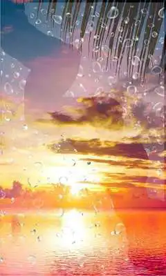 Play Sunset Ocean Play Sunset Ocean