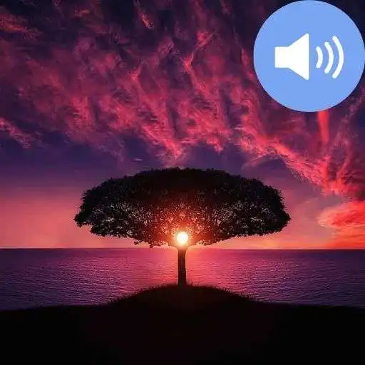 Play Sunset Sounds and Wallpapers APK