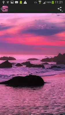 Play Sunsets Wallpaper