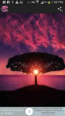 Play Sunsets Wallpaper