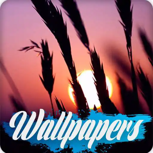 Play Sunset Wallpaper Images APK
