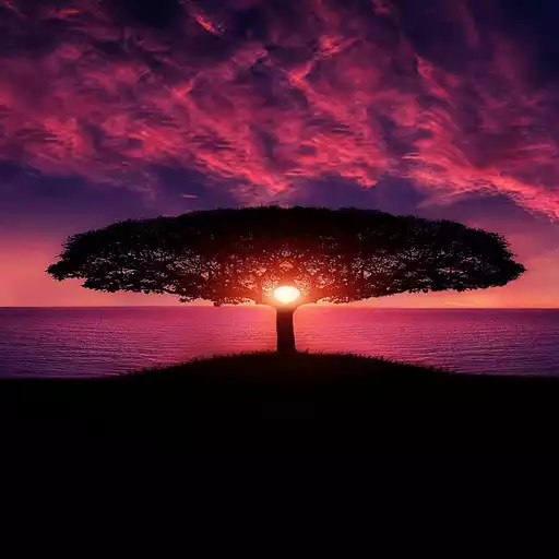 Play Sunset Wallpapers APK Play Sunset Wallpapers APK