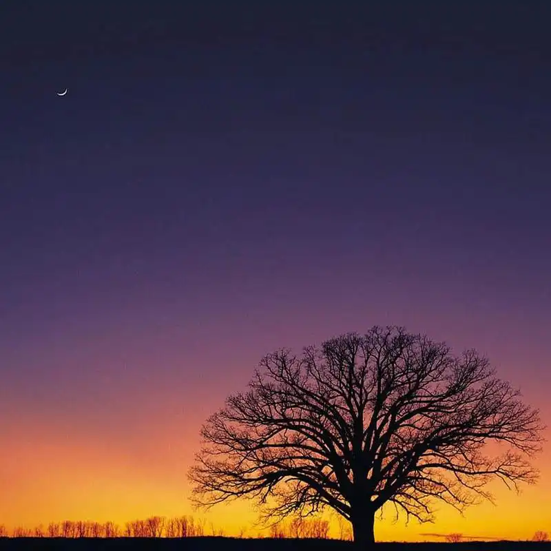 Play SUNSET Wallpapers v2