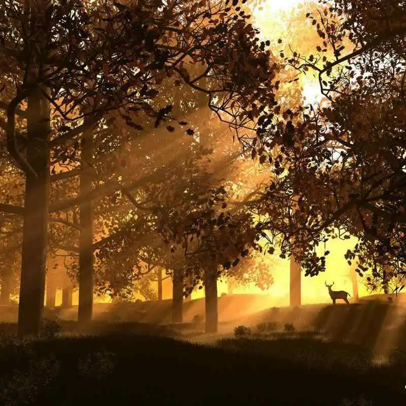 Play SUNSET Wallpapers v2