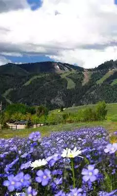 Play 美容室・ヘアサロン SUNVALLEY(サンバレー)公式アプ and enjoy 美容室・ヘアサロン SUNVALLEY(サンバレー)公式アプ with UptoPlay Play 美容室・ヘアサロン SUNVALLEY(サンバレー)公式アプ and enjoy 美容室・ヘアサロン SUNVALLEY(サンバレー)公式アプ with UptoPlay