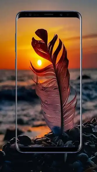 Play Sun Wallpapers and Backgrounds as an online game Sun Wallpapers and Backgrounds with UptoPlay