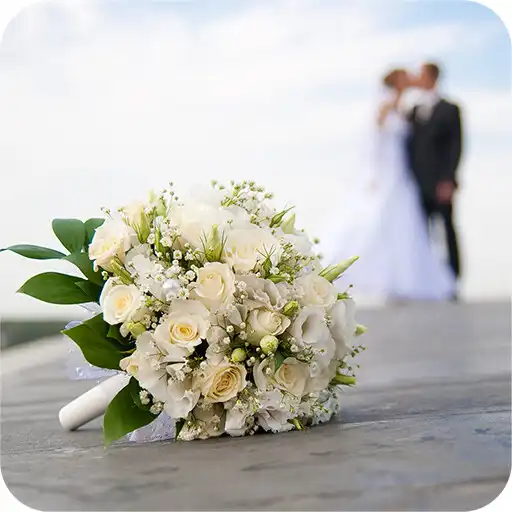 Play SunWedding APK