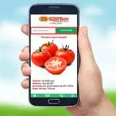 Free play online SUPER BOM APK
