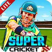 Free play online Super Cricket Championship APK Free play online Super Cricket Championship APK