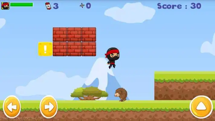 Play Super Dragon Warrior Game Play Super Dragon Warrior Game