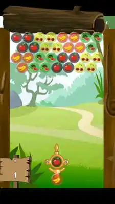 Play Super Fruit Shooter