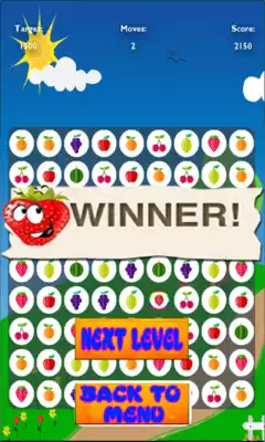 Play Super Fruit switch