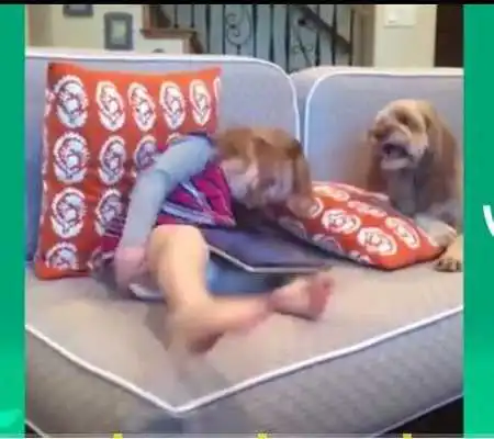 Play Super fun videos for free.