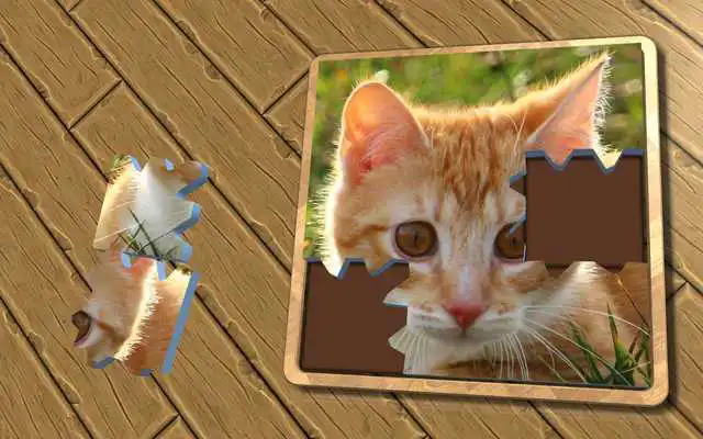 Play Super Jigsaws Kittens