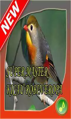 Play Super Master Kicau Robin Eropa