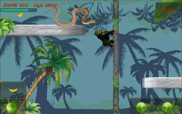 Play Super Monkey Jungle Treasure Play Super Monkey Jungle Treasure