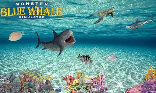 Play Super Monster Blue Whale Shark Game