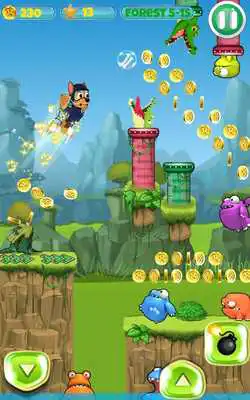 Play Super Paw Run World