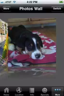 Play Superpets as an online game online Superpets with UptoPlay Play Superpets as an online game Superpets with UptoPlay