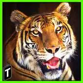 Free play online Super Tiger Sim 2017 APK