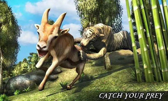 Play Super Tiger Sim 2017
