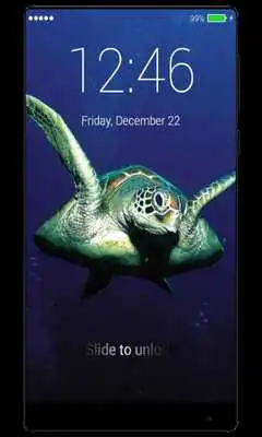 Play Super Turtle App