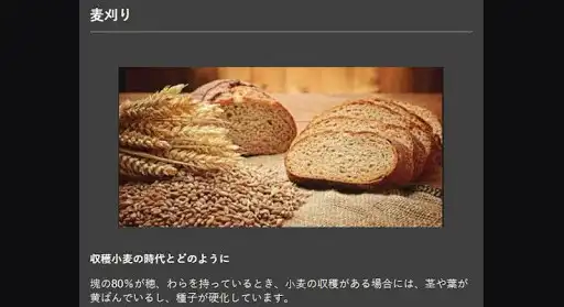 Play super wheat cultivation as an online game online super wheat cultivation with UptoPlay com.Martinapps.superwheatcultivation Play super wheat cultivation as an online game super wheat cultivation with UptoPlay