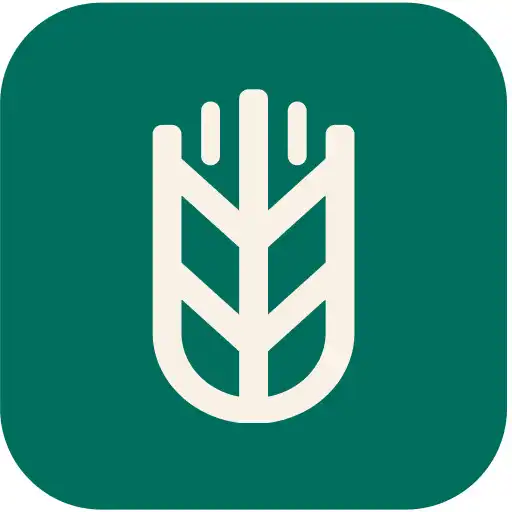 Play Supply Grain APK