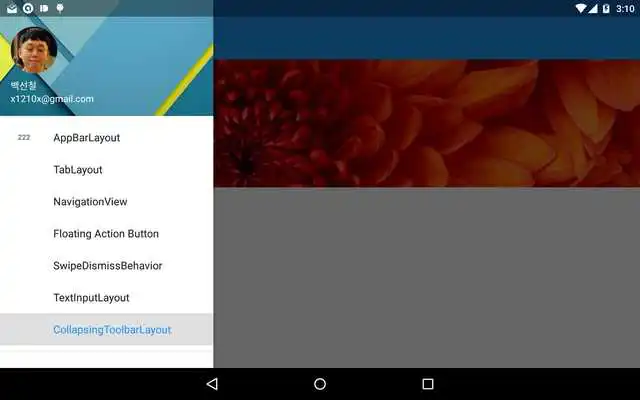 Play Support Library Demos