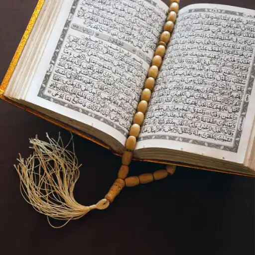 Play surah alam nashrah reading APK Play surah alam nashrah reading APK