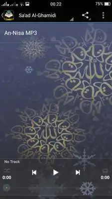 Play Surah An-Nisa MP3