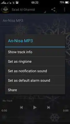 Play Surah An-Nisa MP3