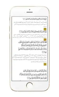 Play Surah Mulk