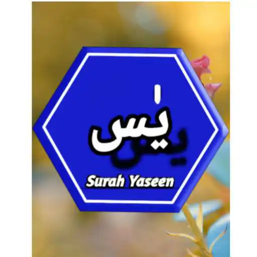 Play Surah Yaseen-Tajweed + Offline Audio APK