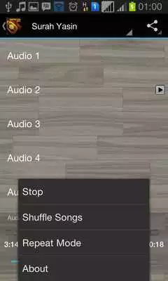 Play Surah Yasin Audio MP3