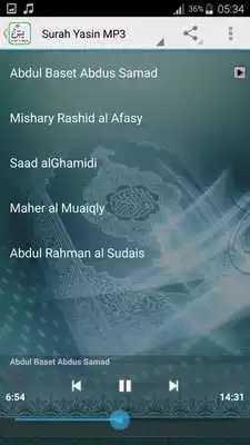 Play Surah Yasin MP3 + Text Offline