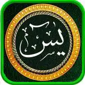 Free play online Surat Yasin Latin Terjemahan APK