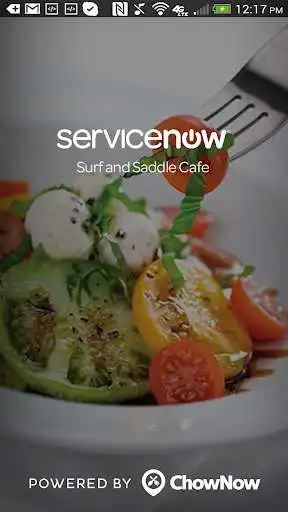 Play Surf and Saddle Cafe  and enjoy Surf and Saddle Cafe with UptoPlay