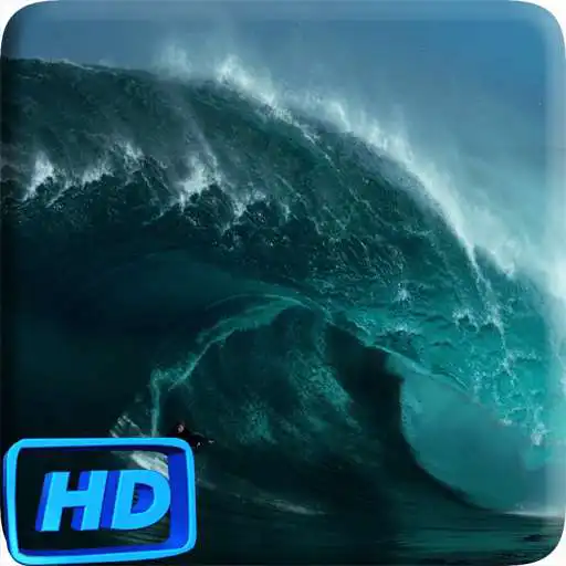 Play Surfing Video Live Wallpaper APK