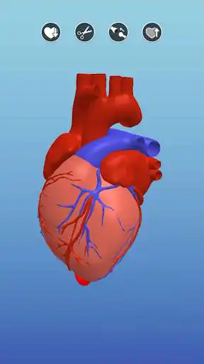 Play Surgeon 3D  and enjoy Surgeon 3D with UptoPlay