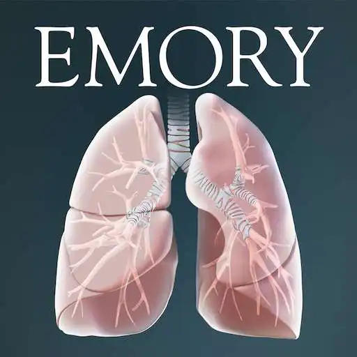 Run free android online Surgical Anatomy of the Lung APK