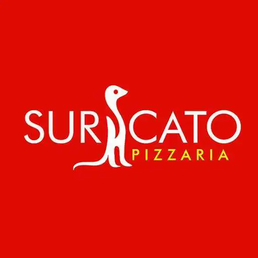 Free play online Suricato Pizzaria APK